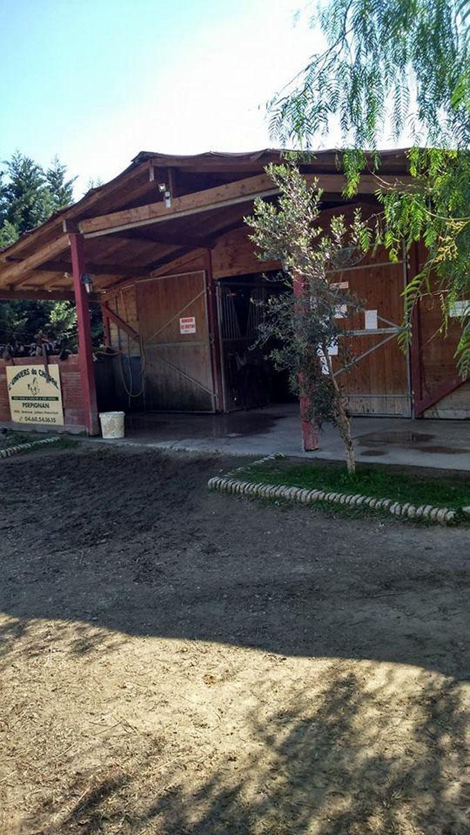 Internant pour chevaux Perpignan