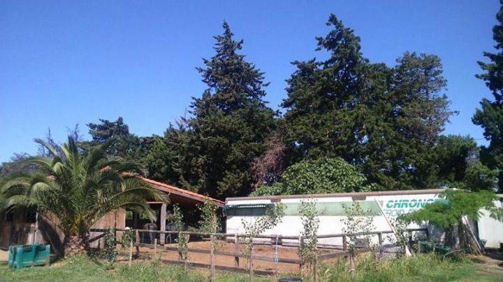 Écurie de compétition Perpignan