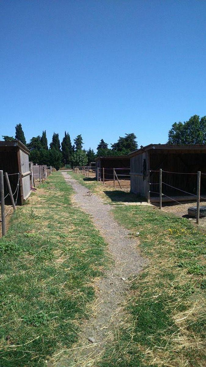 Poney-club Perpignan