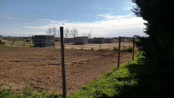 Centre d’équitation Perpignan